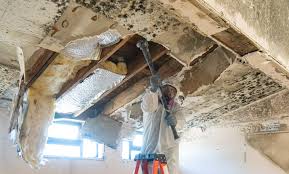 Asbestos and Lead Testing During Mold Inspection